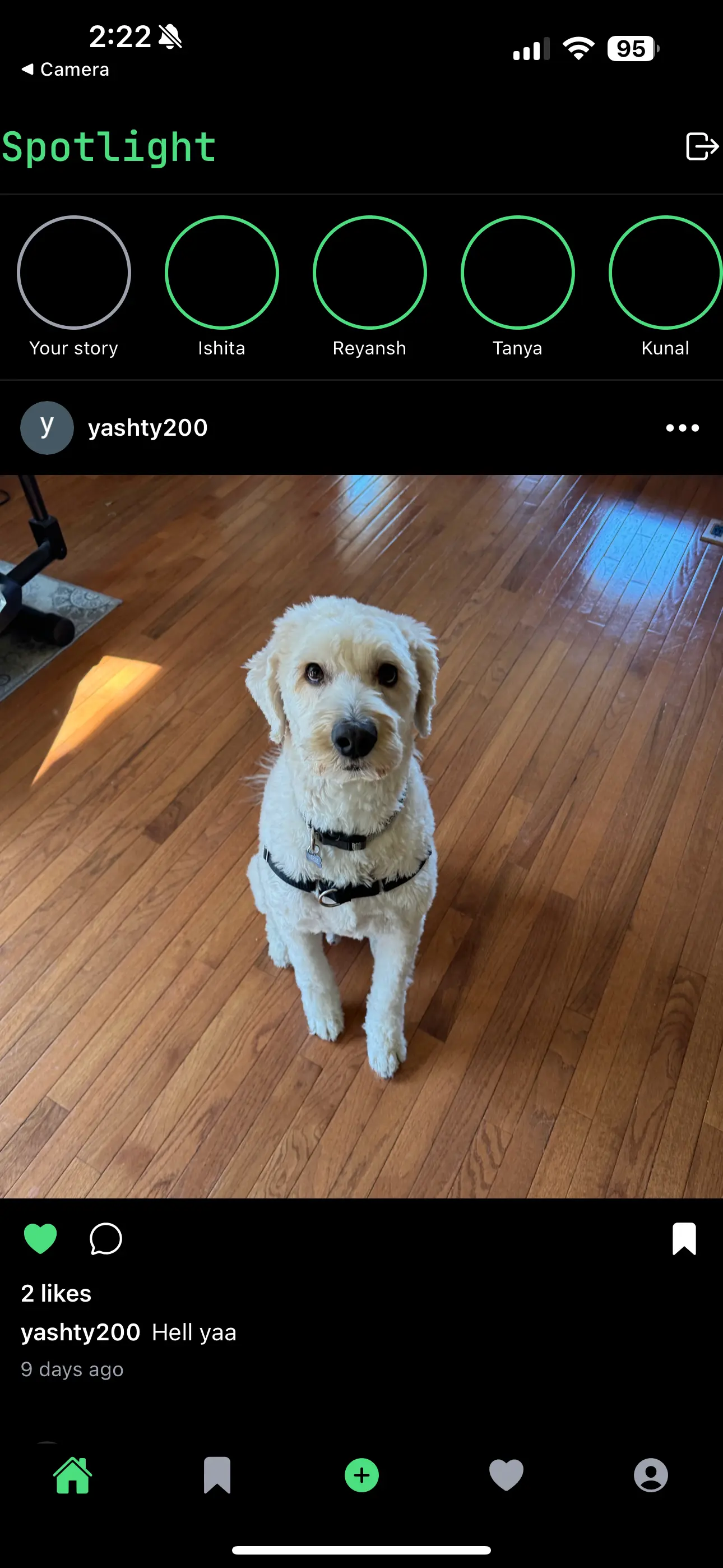 Spotlight screenshot